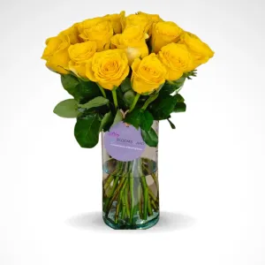 Perfect Expression - 15 rose