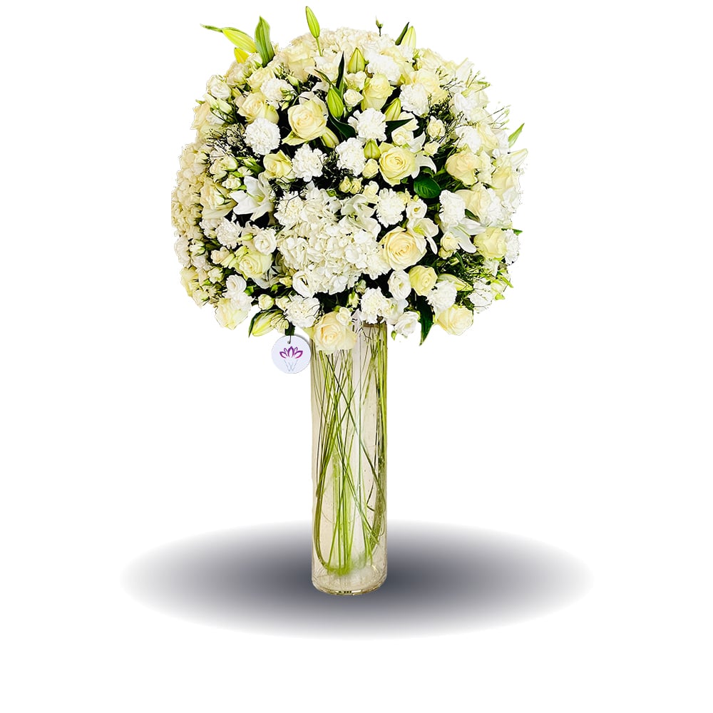 The Alluring White