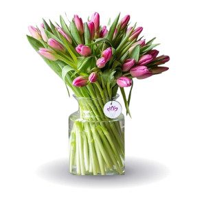 Musical Night - 50 Tulips