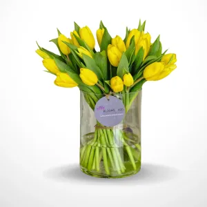 Yellow Sky - 15 tulip