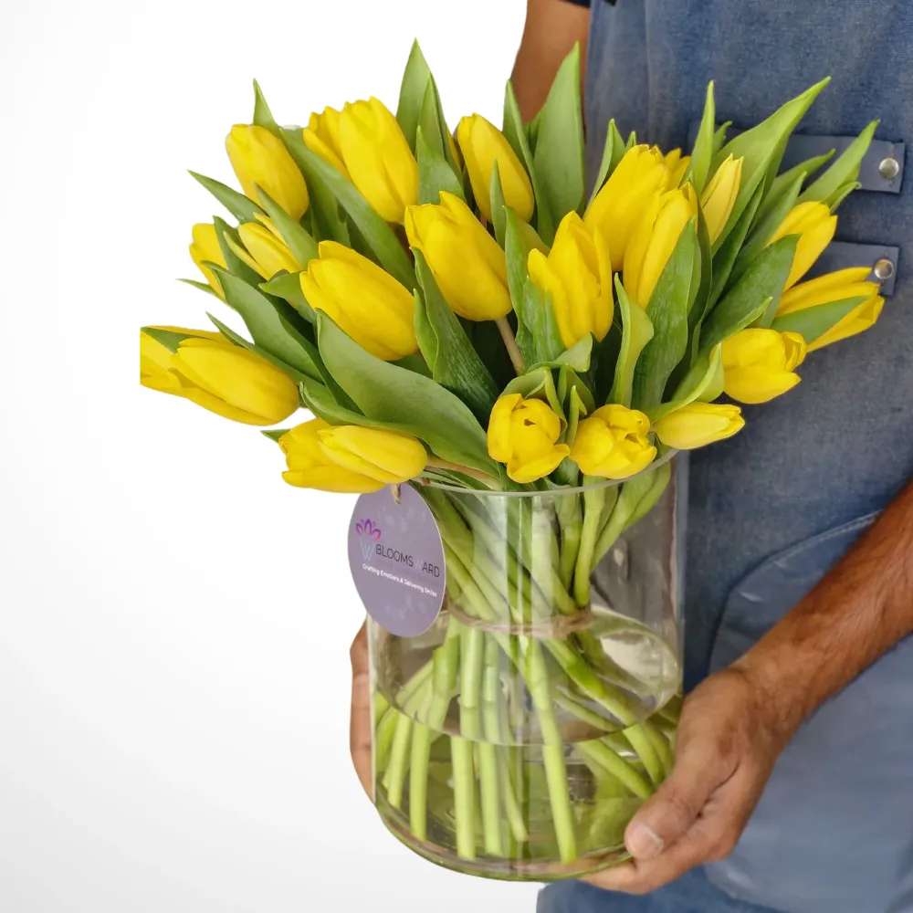 Yellow Sky - 15 tulip
