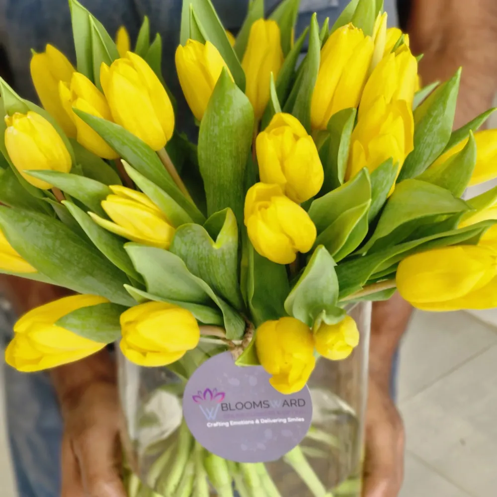 Yellow Sky - 15 tulip