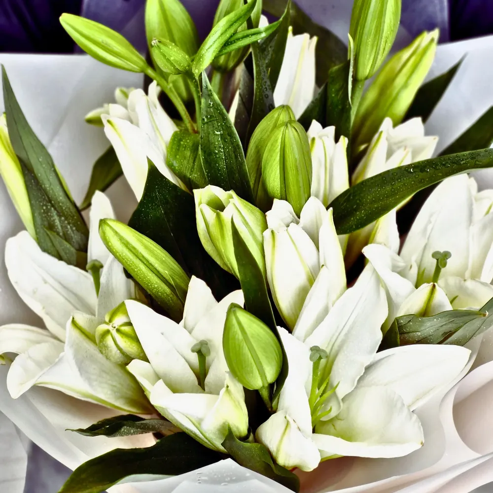 Lily's Bouquet - 8 Stems