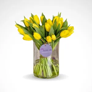 Adorable Hug - 30 yellow tulip