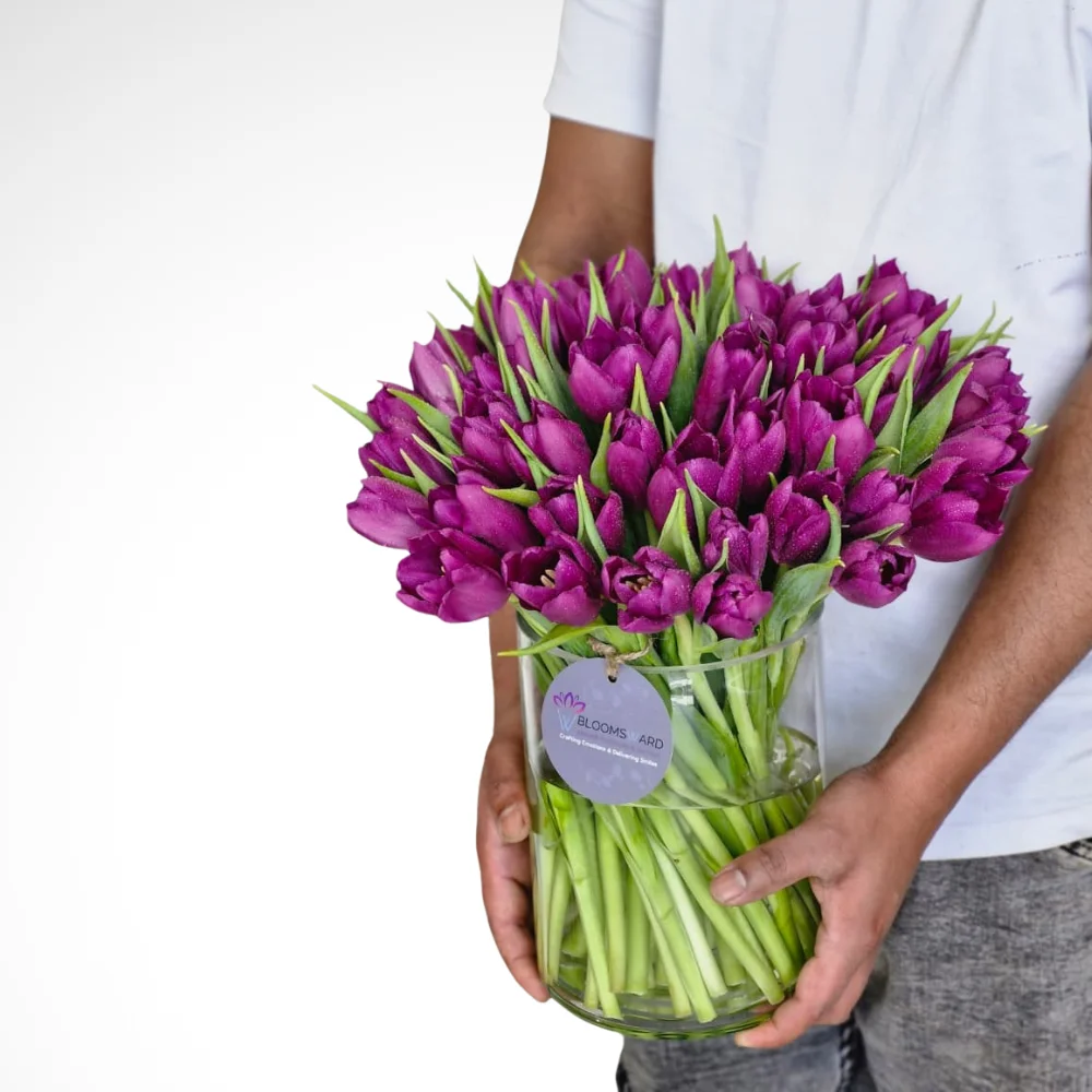 Musical Night - 50 Tulips