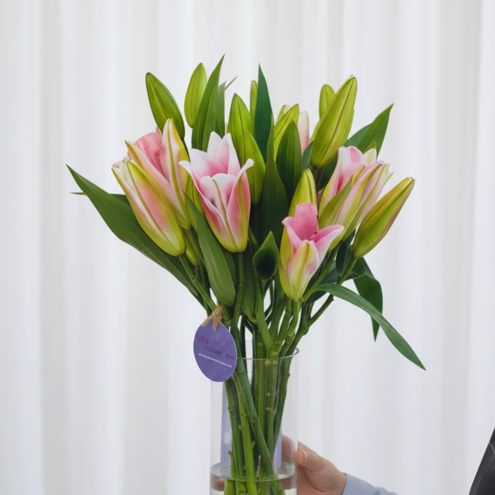 Simply Wow - 10 Stems