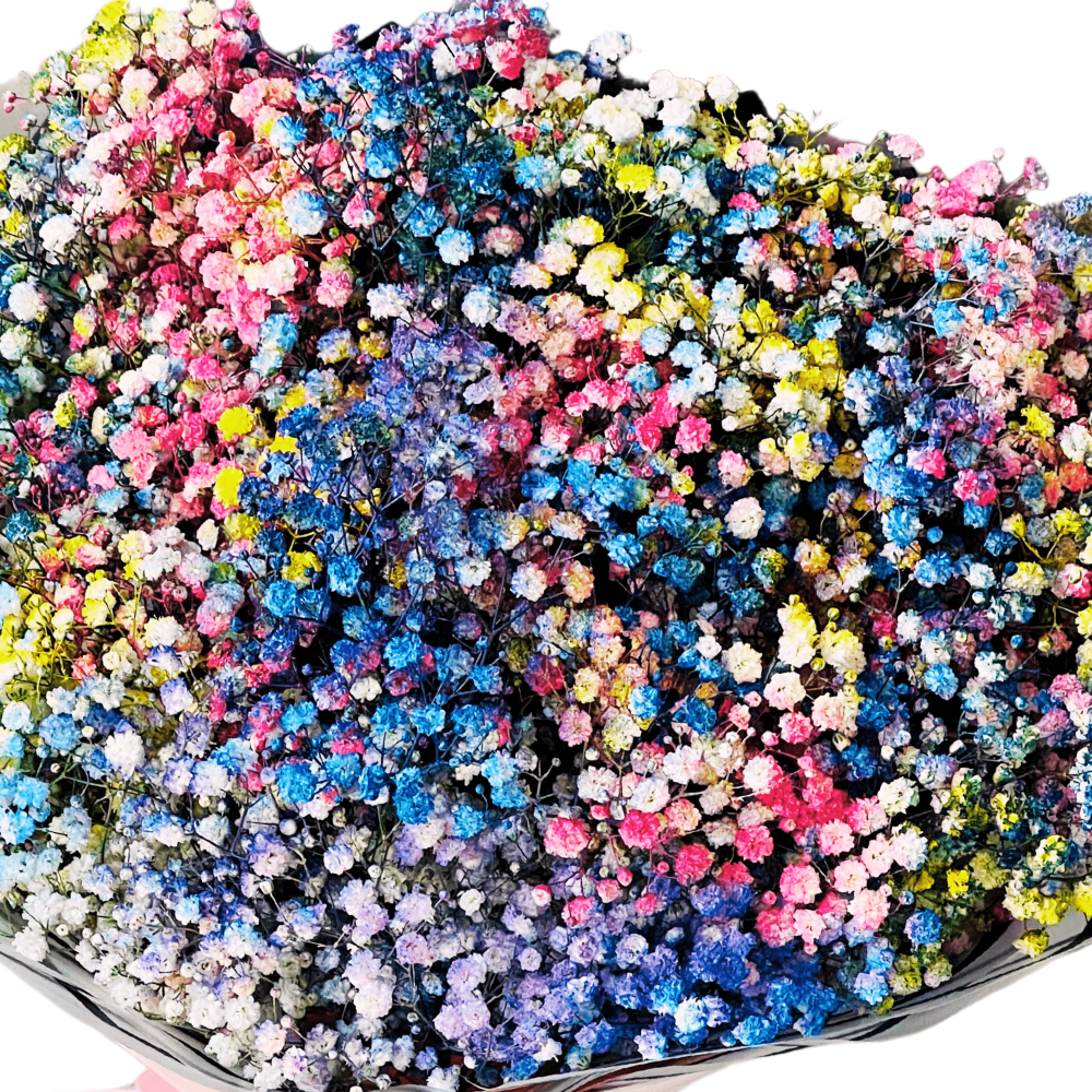 Elegant Baby's Breath bouquet