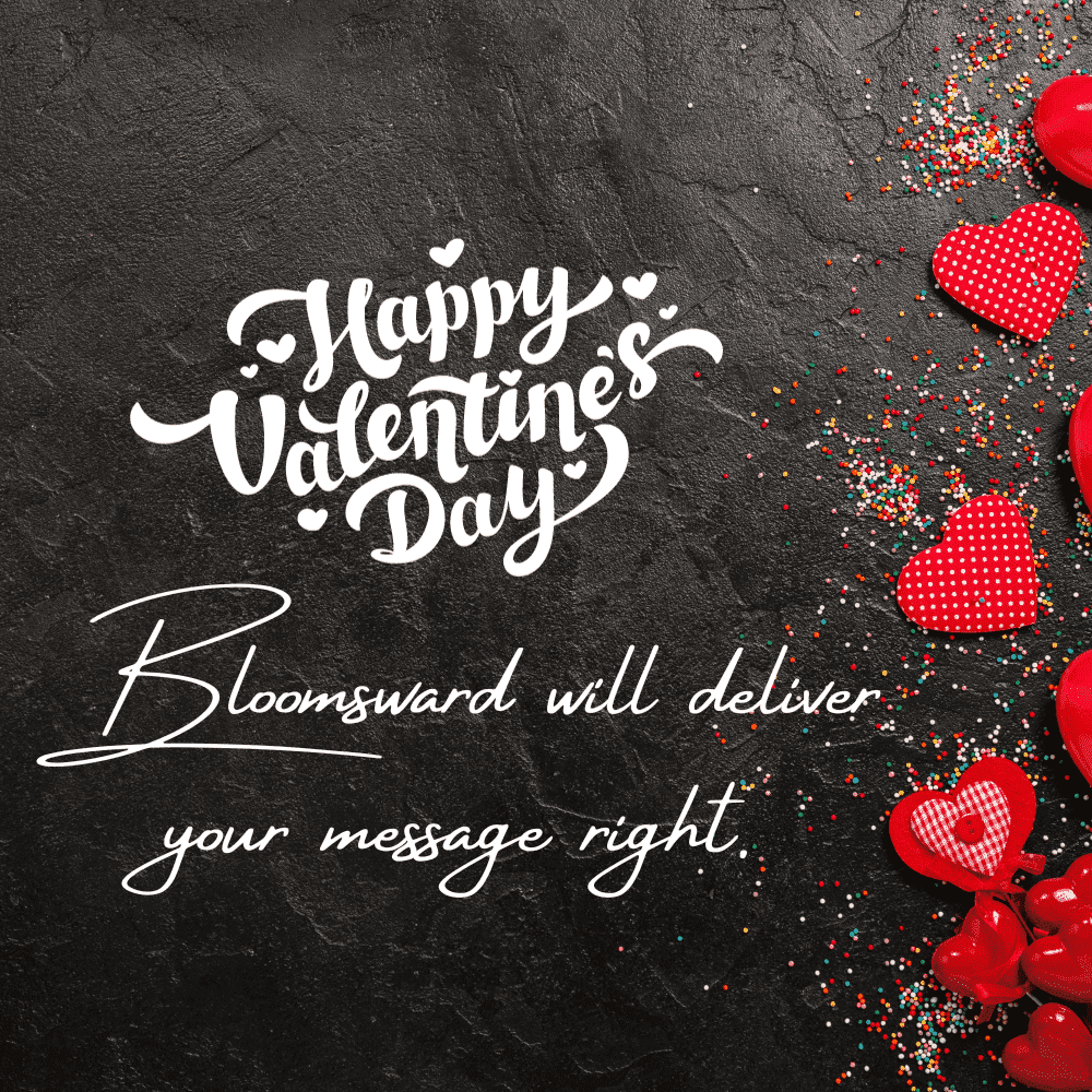 Falling In Love - Red Rose With Ferrero