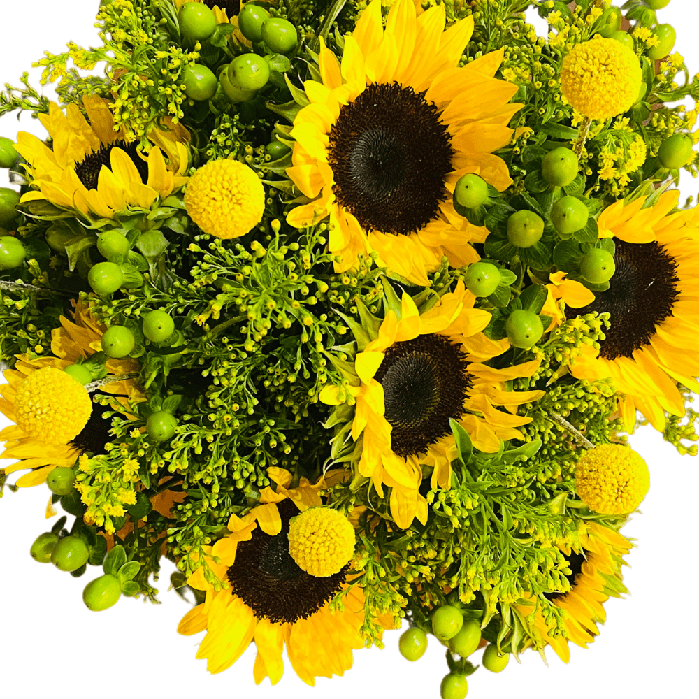 Glaring Yellow Sunflower