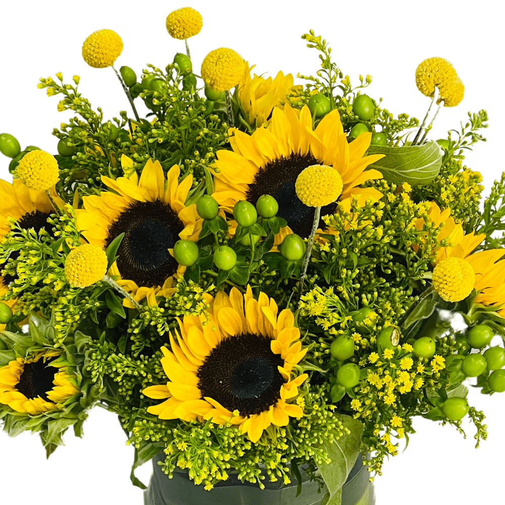 Glaring Yellow Sunflower