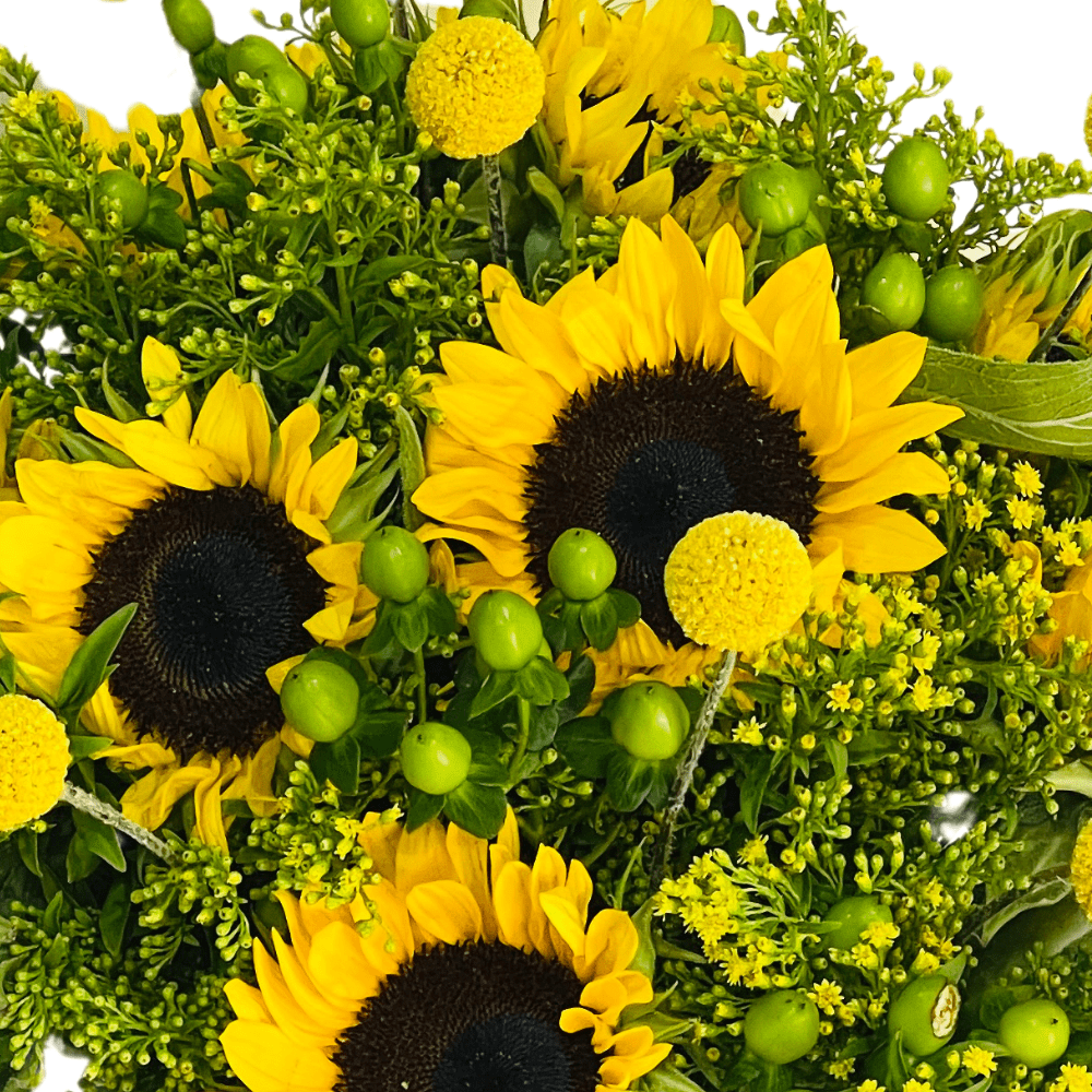 Glaring Yellow Sunflower