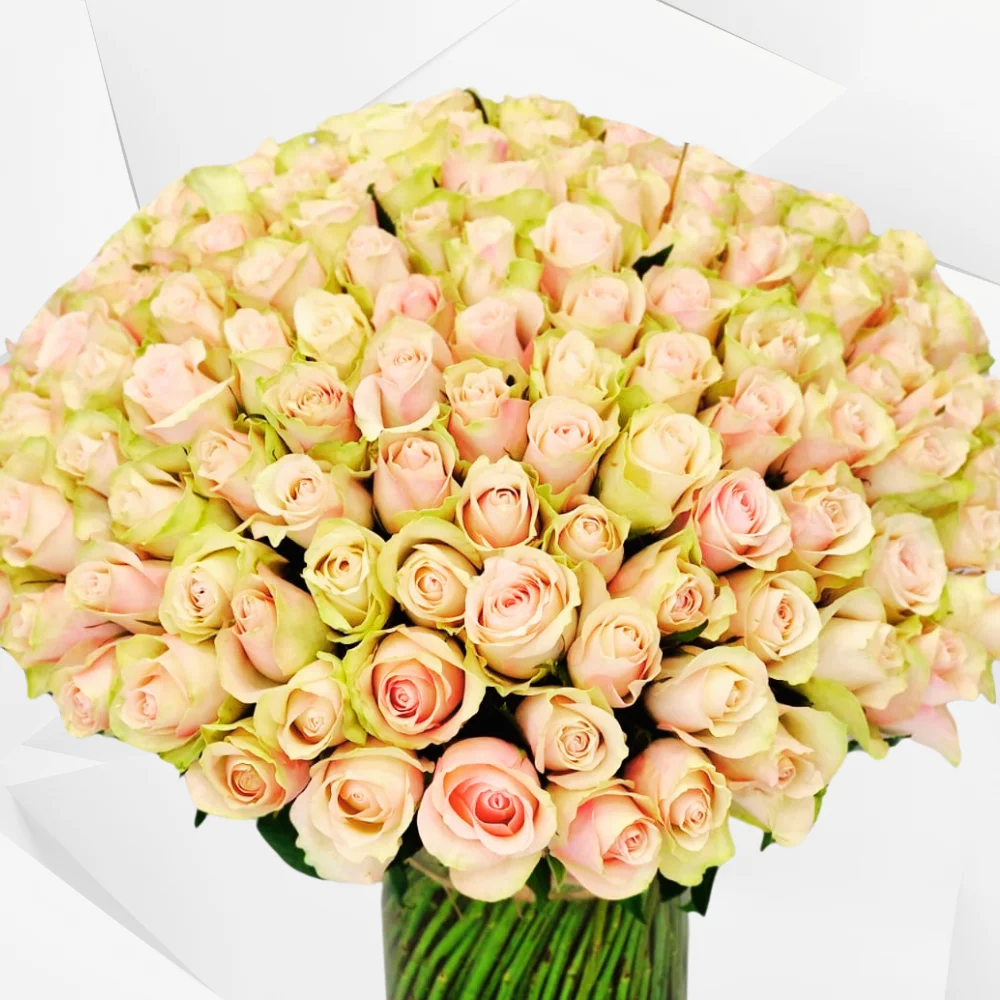 The Butterfly Effect - 150 ROSE