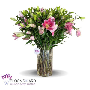 Pink Pinwheel - 40 stems