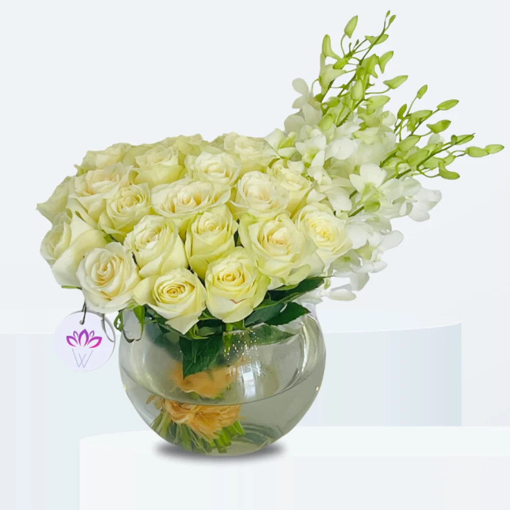 The Congratulation Gesture
